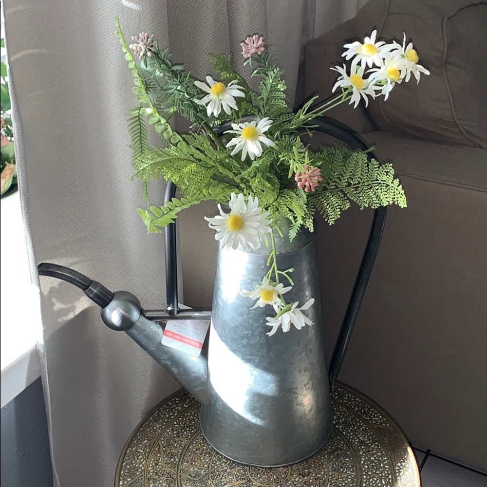 Ashland watering can arrosoir